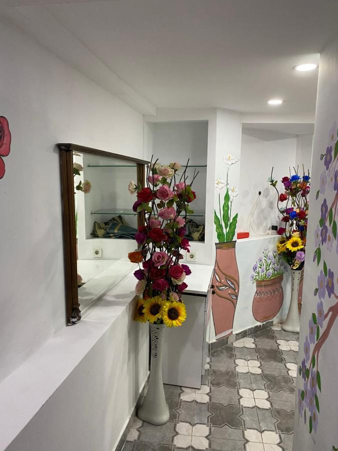 Sultanahmet Family Hotel 伊斯坦布尔 外观 照片