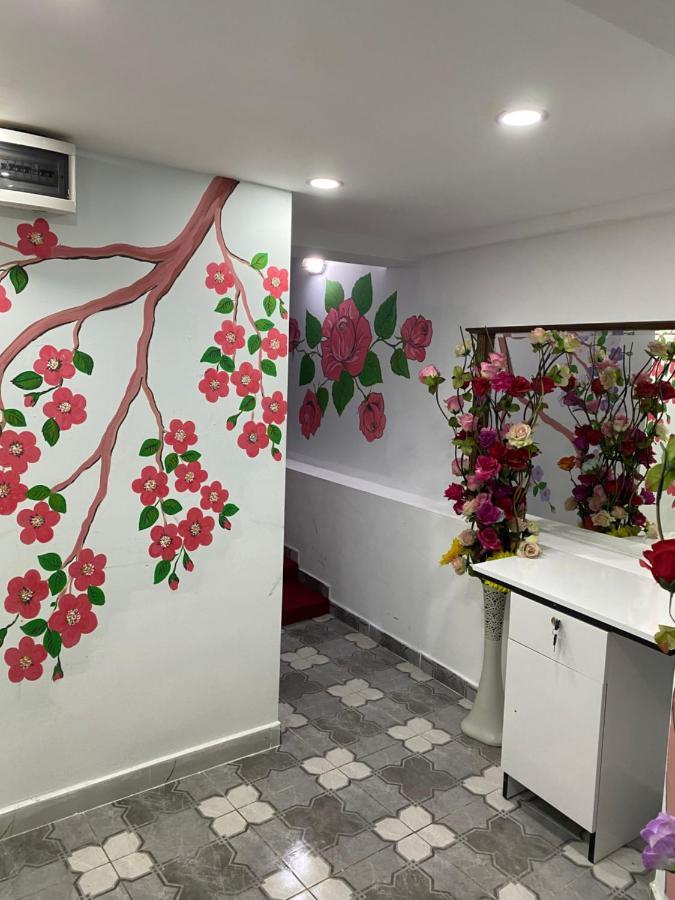 Sultanahmet Family Hotel 伊斯坦布尔 外观 照片